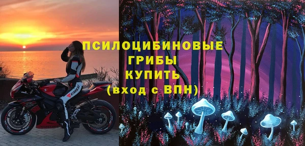 крисы Белоозёрский