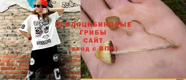 трава Балахна