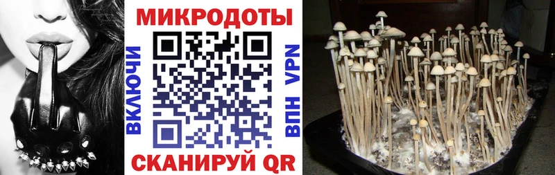 сколько стоит  Козельск  Галлюциногенные грибы ЛСД 